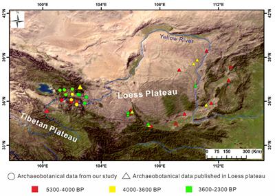 How Human Subsistence Strategy Affected Fruit-Tree Utilization During the Late Neolithic and Bronze Age: Investigations in the Northeastern Tibetan Plateau